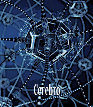 cerebro.jpg cerebro.jpg